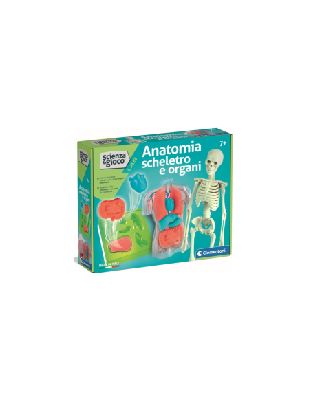 SCIENZA G.19414 ANATOMIA SCHELETRO E ORGANI