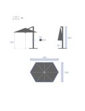 OMBRELLONE ELEA 3X4,2 ESAGONALE ANTRACITE su TreG Ingrosso