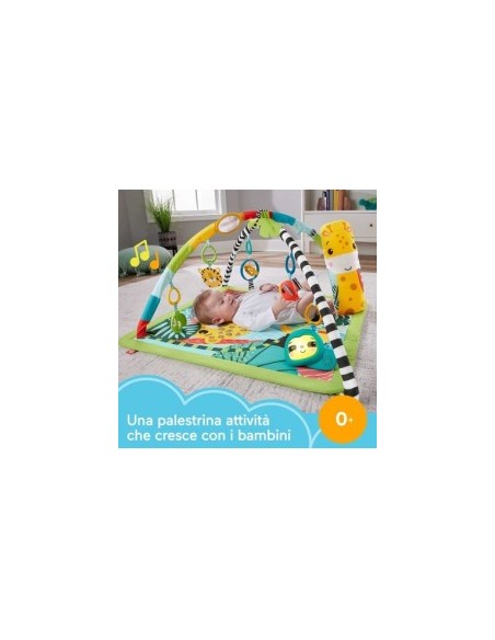 FP HJW08 PALESTRINA CUCCIOLI NATURA su TreG Ingrosso