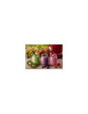 FRULLATORE 585 ROSSO 1000W 1,5LT VETRO GRADUATO su TreG Ingrosso