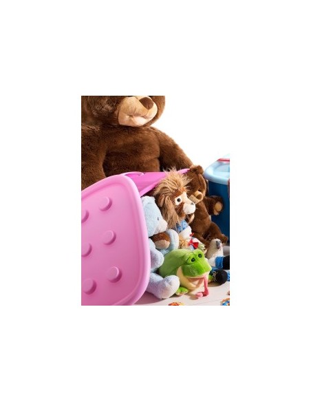 CONTENITORE FUNNY BOX ROSA 58X38,5X32CM