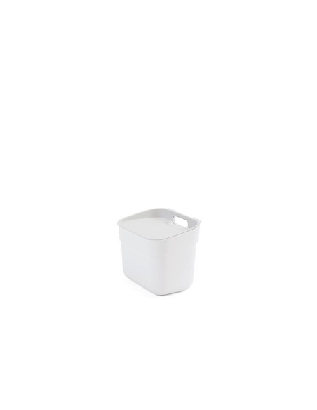 PATTUMIERA BIANCA 5LT READY TO COLLECT