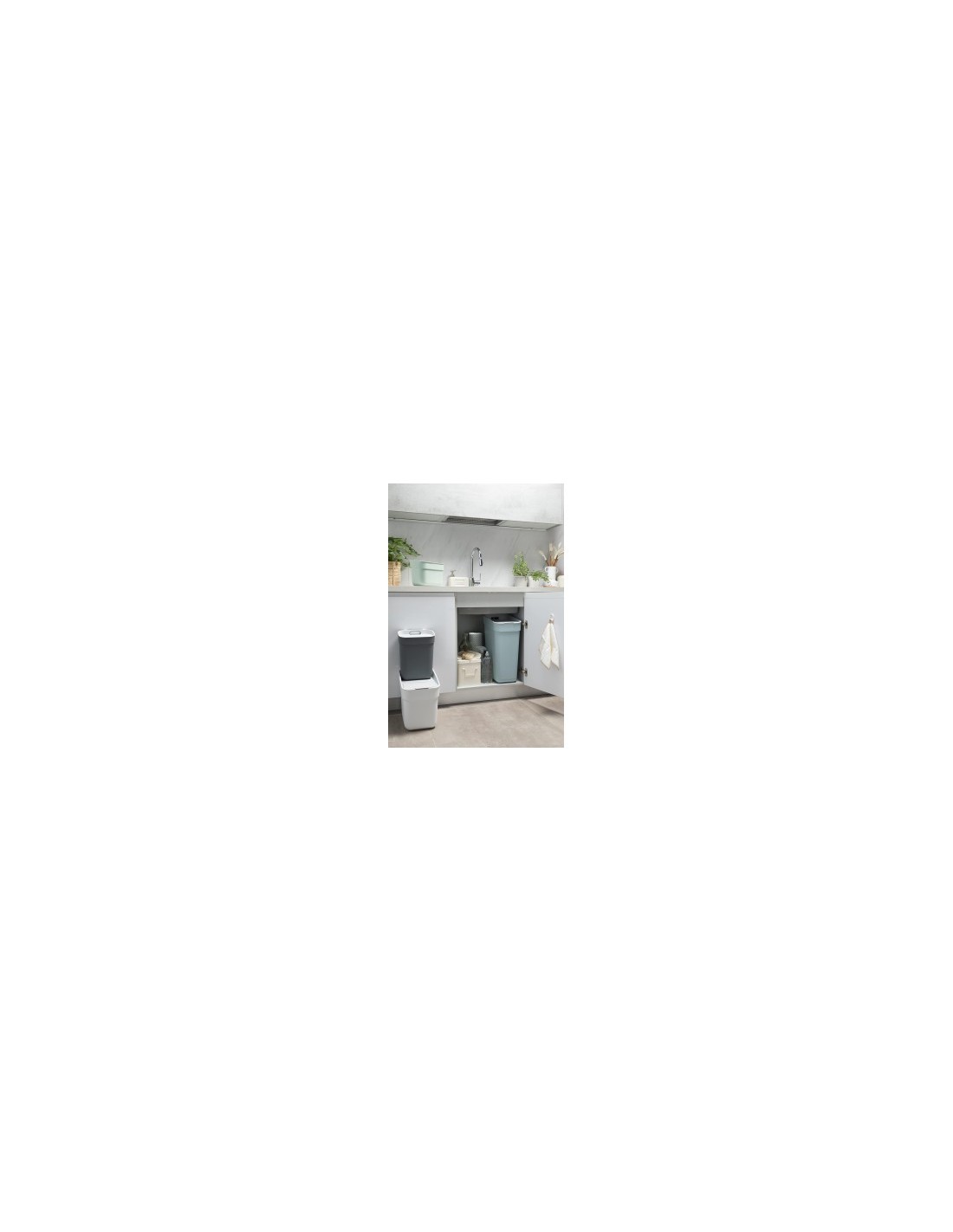 PATTUMIERA MENTA 5LT READY TO COLLECT