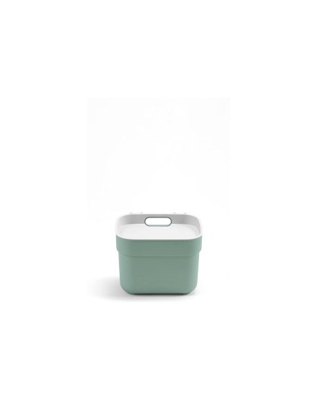 PATTUMIERA MENTA 5LT READY TO COLLECT