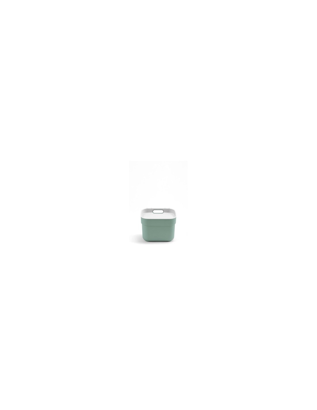 PATTUMIERA MENTA 5LT READY TO COLLECT