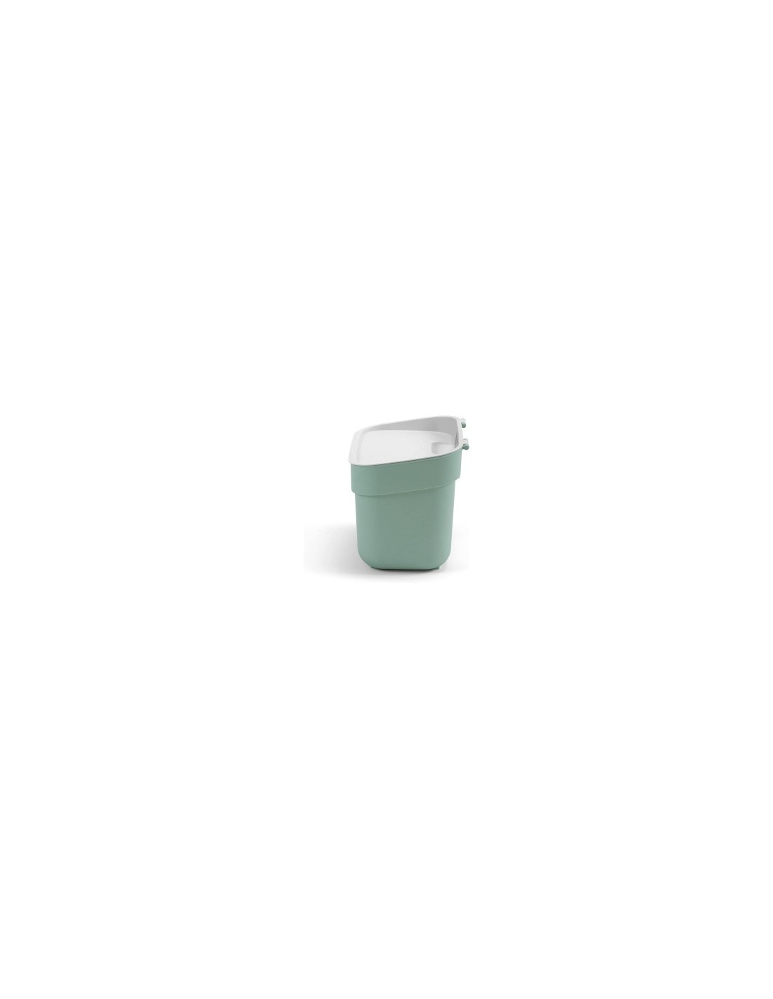 PATTUMIERA MENTA 5LT READY TO COLLECT