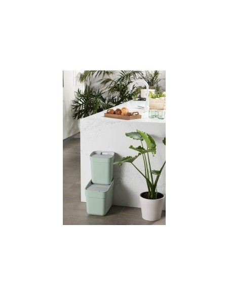 PATTUMIERA MENTA 10LT READY TO COLLECT