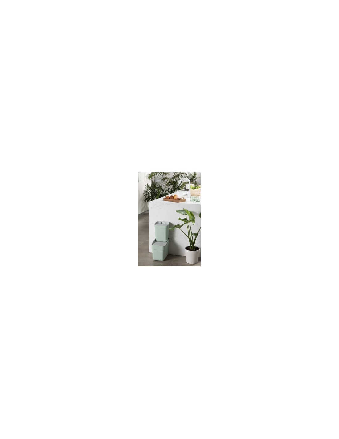PATTUMIERA MENTA 10LT READY TO COLLECT
