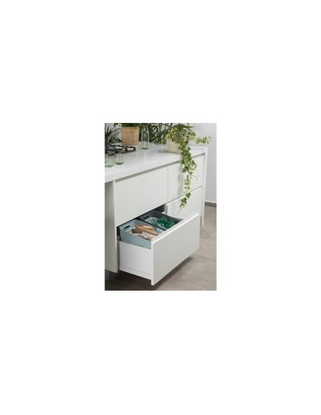 PATTUMIERA MENTA 20LT READY TO COLLECT