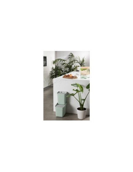 PATTUMIERA MENTA 20LT READY TO COLLECT