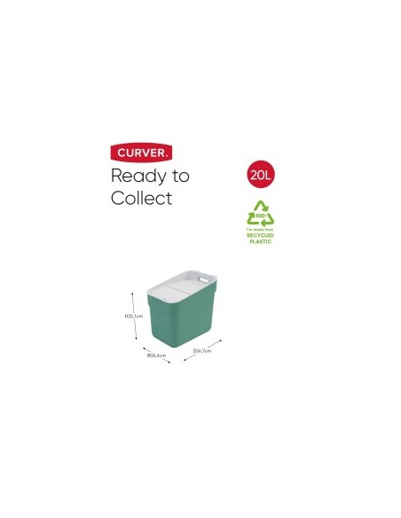 PATTUMIERA MENTA 20LT READY TO COLLECT