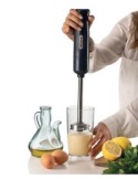 Frullatore a immersione 3in1, 700W, tritatutto 600ml, frusta, acciaio inox, Dark & Sahara Grey