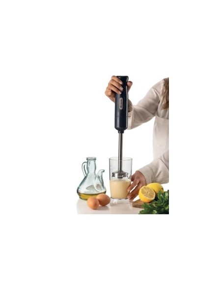 Frullatore a immersione 3in1, 700W, tritatutto 600ml, frusta, acciaio inox, Dark & Sahara Grey