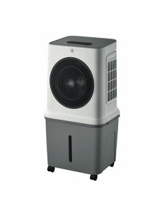 Raffrescatore d'Aria, DCG VER185, 35 litri, 3 velocità, 120W, con timer 12h, Air Cooler evaporativo