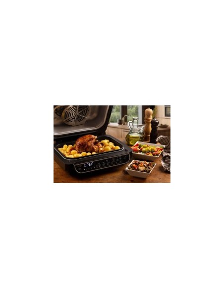 Friggitrice ad Aria Ariete 4635 8LT con Bistecchiera | TreG Ingrosso