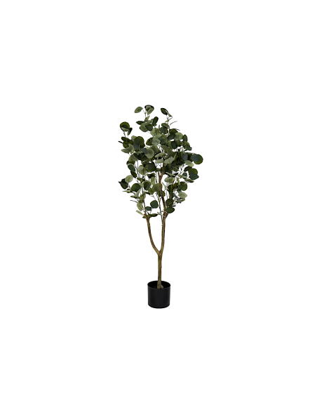 PIANTA JA212498 EUCALIPTO VERDE H120CM CON VASO