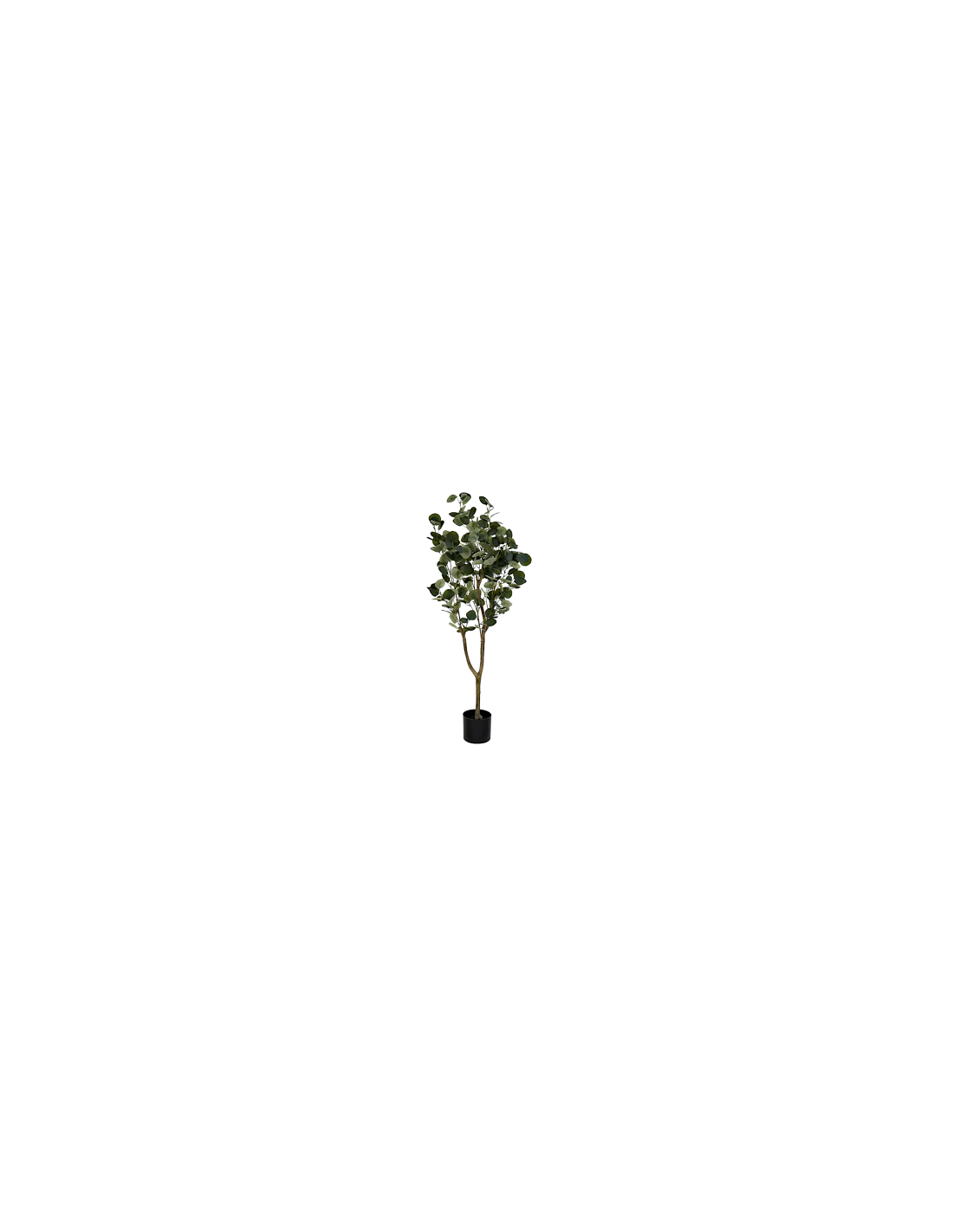 PIANTA JA212498 EUCALIPTO VERDE H120CM CON VASO