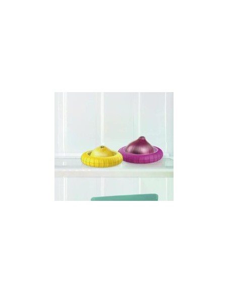 Contenitore salvalimenti Pedrini – Conserva cipolle fresche, silicone e plastica