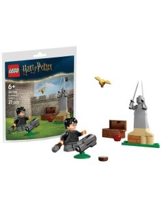 LEGO HARRY POTTER 30706 LEZIONE DI QUIDDITCH, PER BAMBINI +6 ANNI