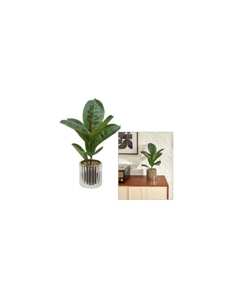 PIANTA FICO 210134 SKY 34X54CM VASO CERAMICA ARGENTO