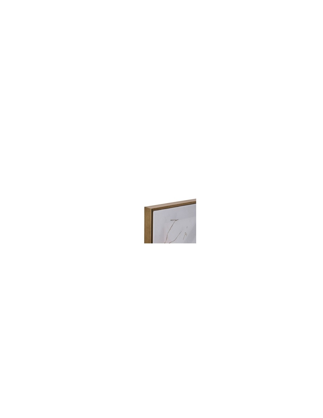 Tela, stampata, Hilo, farfalla, 60x60 cm, assortita, dorato metallizzato