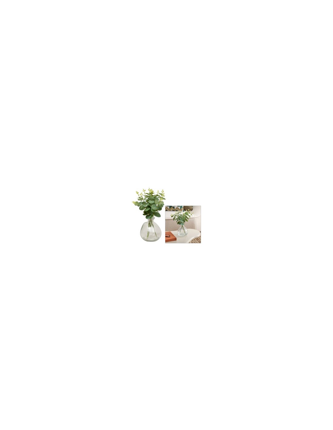 Composizione eucalipto, Urice, altezza 35 cm, vaso in vetro trasparente, 20 x 20 x 35 cm