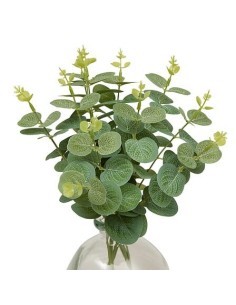 Composizione eucalipto, Urice, altezza 35 cm, vaso in vetro trasparente, 20 x 20 x 35 cm