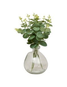 Composizione eucalipto, Urice, altezza 35 cm, vaso in vetro trasparente, 20 x 20 x 35 cm