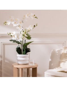 Orchidea artificiale Mick, altezza 80 cm, vaso ceramica bianco, 65 x 55 x 80 cm 2