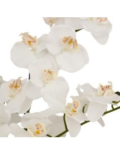 Orchidea artificiale Mick, altezza 80 cm, vaso ceramica bianco, 65 x 55 x 80 cm