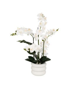 Orchidea artificiale Mick, altezza 80 cm, vaso ceramica bianco, 65 x 55 x 80 cm