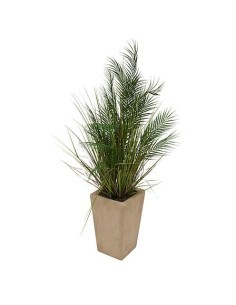 Palma artificiale, con vaso in ceramica beige, multicolore, altezza 142 cm, 60 x 60 x 142 cm