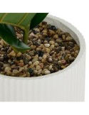 Ficus artificiale, con vaso in ceramica scanalata, multicolore, altezza 145 cm, 58 x 58 x 145 cm