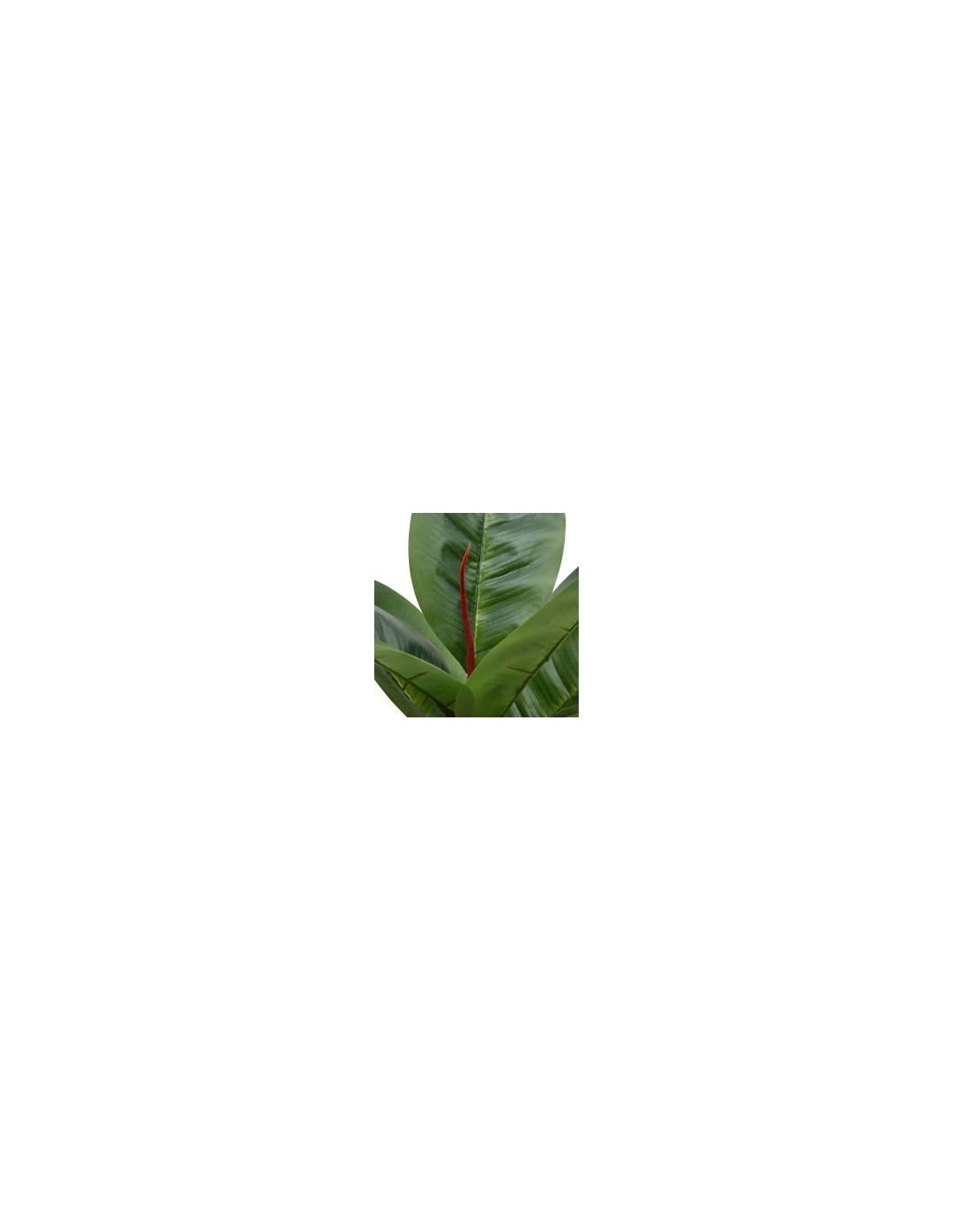Ficus artificiale, con vaso in ceramica argentata, multicolore, altezza 54 cm, 34 x 34 x 54 cm
