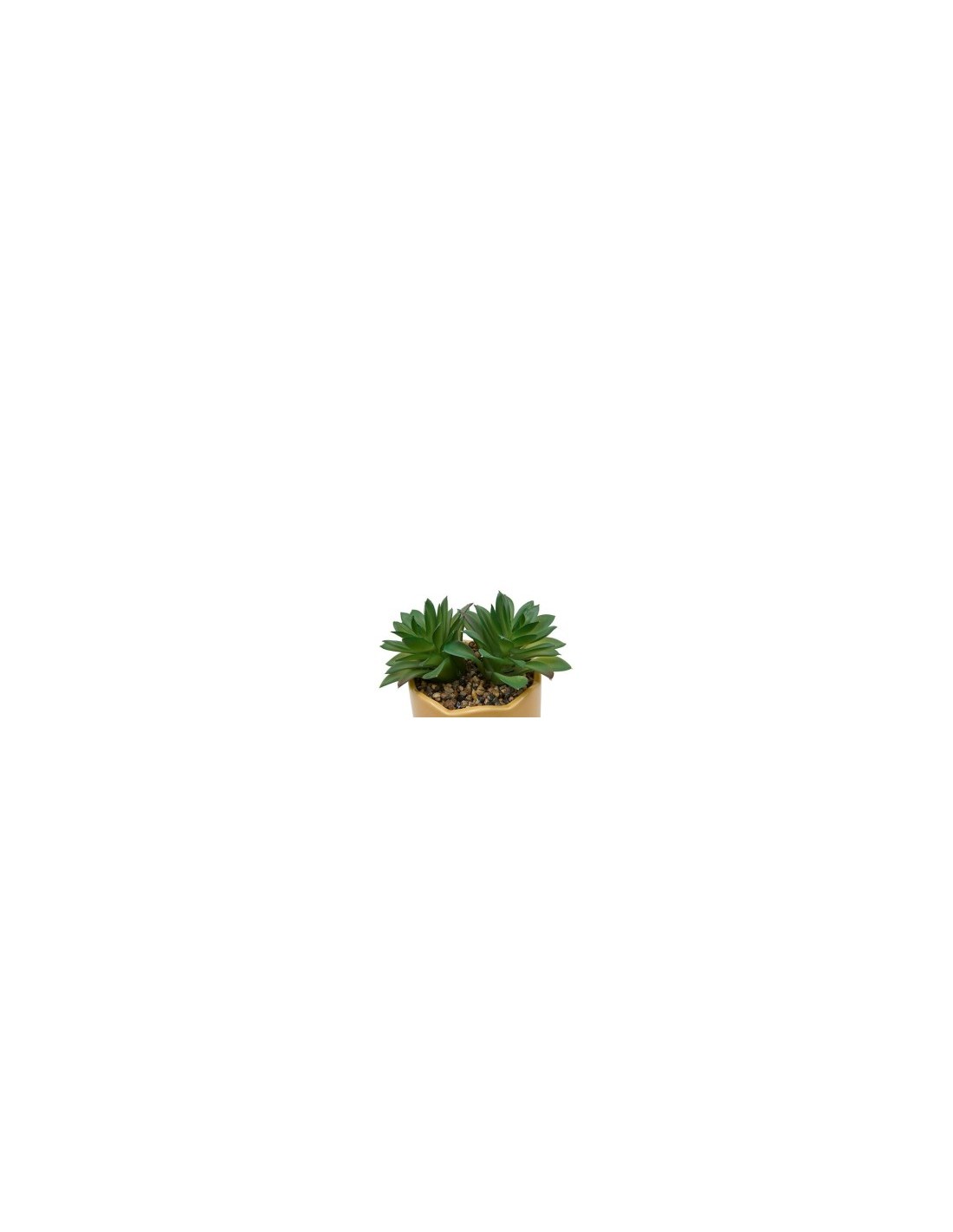 Pianta perenne, Chéri, H. 17 cm, vaso in ceramica assortito, 13 x 10 x 14,5 cm
