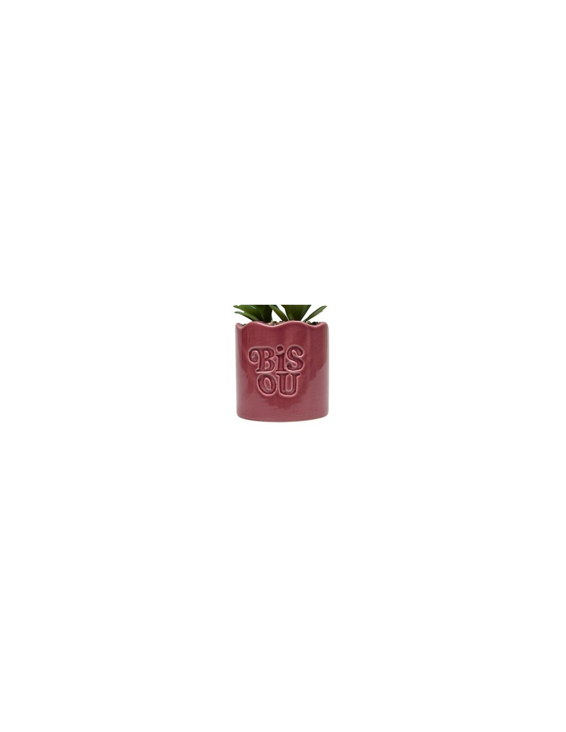 Pianta perenne, Chéri, H. 17 cm, vaso in ceramica assortito, 13 x 10 x 14,5 cm