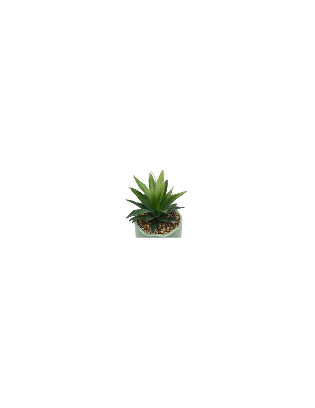 Pianta perenne, Chéri, H. 17 cm, vaso in ceramica assortito, 13 x 10 x 14,5 cm