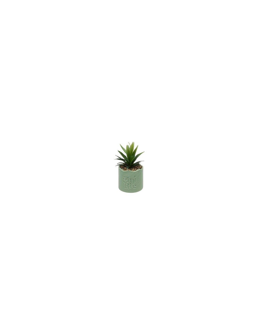 Pianta perenne, Chéri, H. 17 cm, vaso in ceramica assortito, 13 x 10 x 14,5 cm