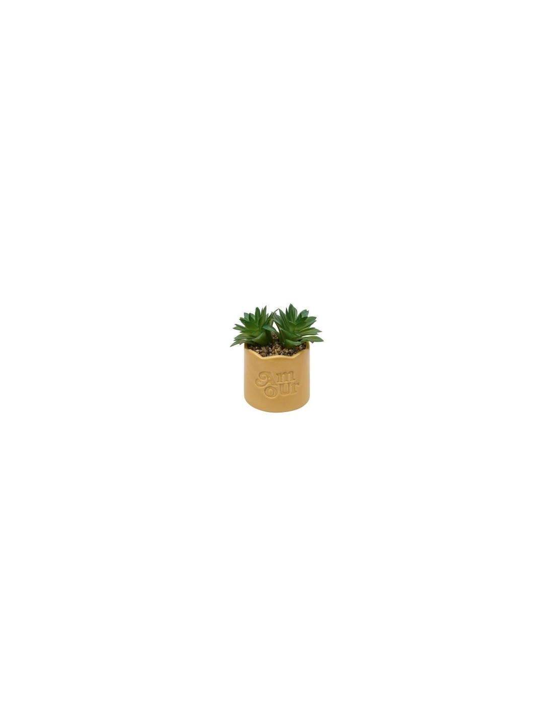 Pianta perenne, Chéri, H. 17 cm, vaso in ceramica assortito, 13 x 10 x 14,5 cm