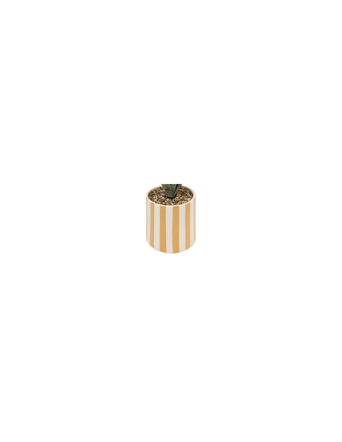 Sansevieria Chéri, altezza 38 cm, vaso ceramica assortito, 11,5 x 11,5 x 38 cm