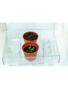 Clementoni La Mia Serra Hi-Tech – Laboratorio Scientifico di Botanica