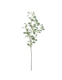 STELO 2390-09 TRADESCANCIA