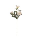 STELO 4389-01 CON 3 MAGNOLIE CREMA