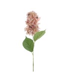 STELO 4752-31 HORTENSIA BEIGE