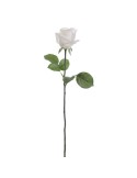 STELO 6936-01 ROSA CREMA