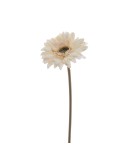 STELO 6955-31 GERBERA BEIGE