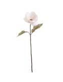 STELO 6964-01 MAGNOLIA CREMA