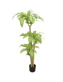 PIANTA 7528-09 DRACENA 150CM