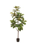 PIANTA 7529-09 MAGNOLIA 180CM