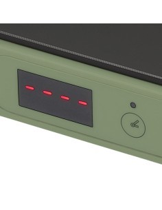 Tognana Iridea Piastra elettrica ad induzione 200-2000W colore verde salvia